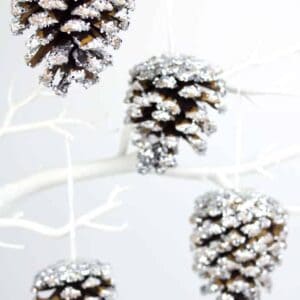 Gorgeous Frosty Pinecone Craft