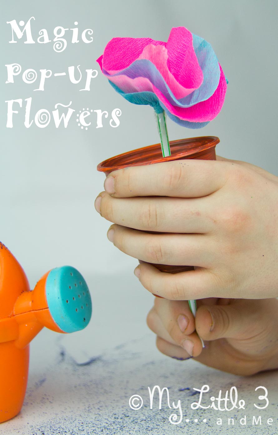 Magic Pop Up Flowers, an interactive Mary Mary Quite Contrary Nursery Rhyme Craft