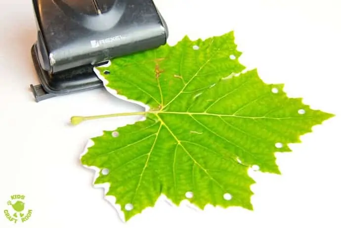 Step 1 LEAF SEWING - A fun Autumn / Fall craft for kids. This Fall activity builds fine motor skills and connects kids with Nature using real leaves. An unusual leaf craft kids will love. 