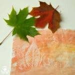 I loved the idea of the children being able to combine leaf rubbing with leaf painting and hence this Wax Resist Leaf Painting art project for kids was born!