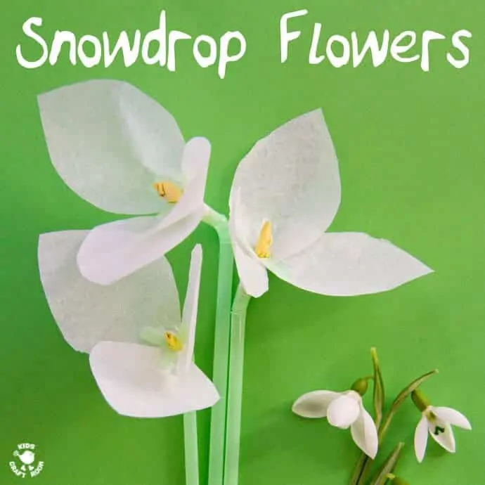 A square image showing a close up of the snowdrop flower craft for kids.