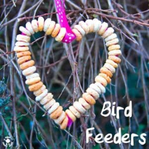 Easy homemade bird feeder. Enjoy your local wild birds and encourage a love of Nature with this heart shaped DIY bird feeder craft for kids.