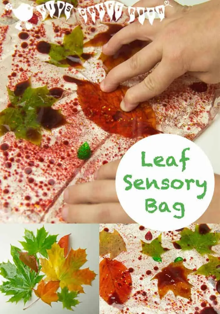 Make Leaf Sensory Bags, a fantastic Autumn activity for kids.
