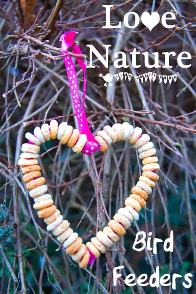 Easy homemade bird feeder. Enjoy your local wild birds and encourage a love of Nature with this heart shaped DIY bird feeder craft for kids.