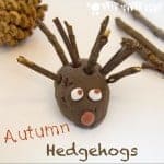 Make a Cute Hedgehog Family - A fun 3D Autumn craft for kids and a great way to develop fine motor skills.
