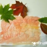 I loved the idea of the children being able to combine leaf rubbing with leaf painting and hence this Wax Resist Leaf Painting art project for kids was born!