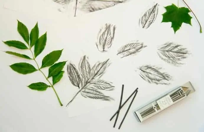 Make bold leaf art with CHARCOAL LEAF PICTURES. Charcoal is an exciting medium for kids to use to explore leaf shape and texture. An interesting nature craft for kids to enjoy in Fall or all year round.