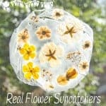 Here's a fun suncatcher flower craft for kids. This unusual method of preserving flowers gives them a gorgeous vintage look that's so pretty on the windows.