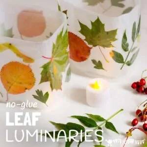 DIY Leaf Luminaries are so gorgeous and so simple to make! Whether you have tiny tots or big kids this is a fabulous no-glue, no-mess must-do Fall craft.