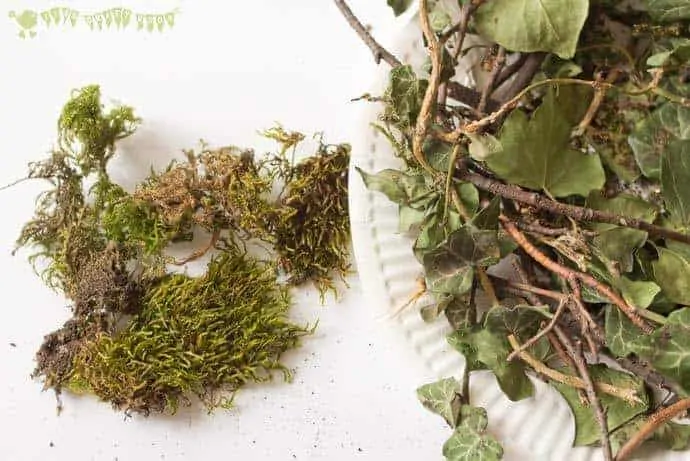 Collecting-moss-to-make-a-birds-nest-STEAM-project