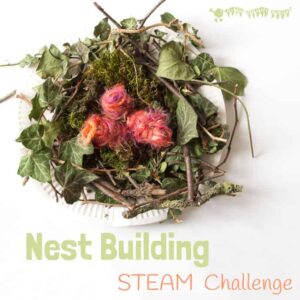 Make A Birds Nest STEAM project is a fun way to challenge your kids and get them testing out their ideas and problem solving. Can you build a nest using natural materials just like real birds do? No glue or tape allowed!