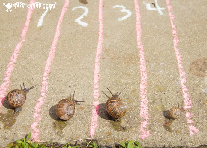 Ready, steady, slow! Use SNAIL RACING to learn SNAIL FACTS. A fun ANIMAL SCIENCE activity for the whole family and a great way for kids to learn about our slimy garden snail friends.