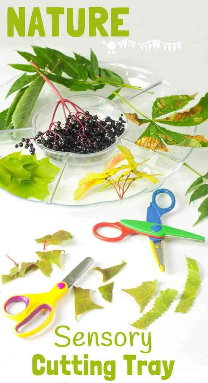 A Sensory Nature Cutting Tray is a fun activity for kids to engage with nature, stimulate the senses and develop fine motor scissor and sorting skills too. #sensory #sensoryplay #sensoryplayideas #sensorybins #motorskills #finemotorskills #cuttingskills #natureactivities #naturecrafts #kidscraftsroom #kidsactivities #earlyyears #ECE #preschool #prek #preschoolactivities