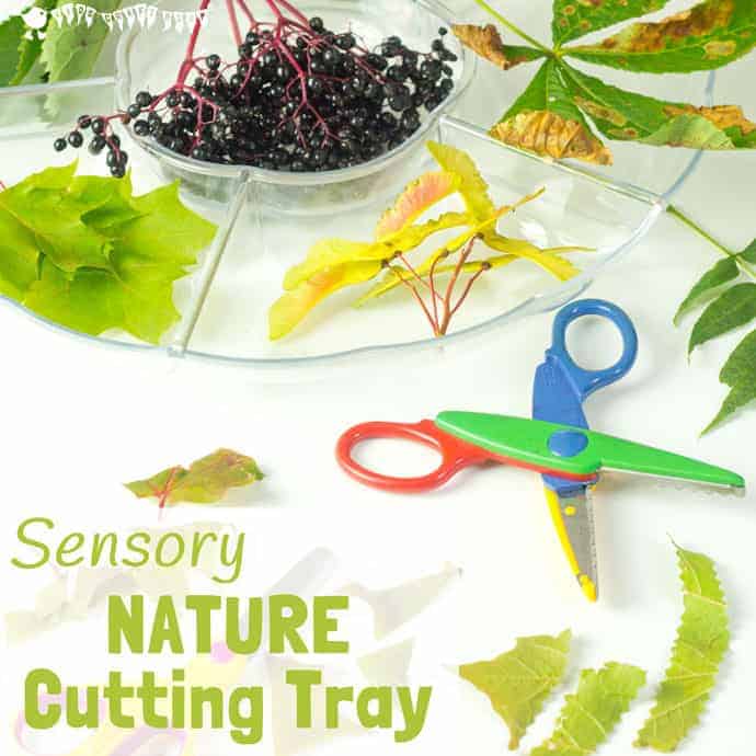 A Sensory Nature Cutting Tray is a fun activity for kids to engage with nature, stimulate the senses and develop fine motor scissor and sorting skills too.