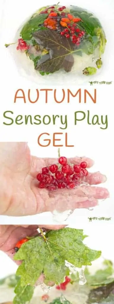 Fall Sensory Play Gel is a wonderful Fall activity for kids. An irresistible squishy, squashy play idea to stimulate the senses and connect kids with Nature. Sensory play at its best! #sensory #sensoryplay #earlyyears #preschool #play #playideas #sensorybins #natureactivities #fall #fallactivities #kidsactivities #fallideas #autumn #messyplay #kidscraftroom