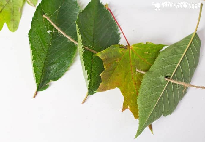 ALL NATURAL LEAF THREADING ACTIVITY for kids - engage with Nature, get creative and develop fine motor skills.