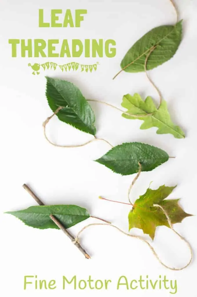 ALL NATURAL LEAF THREADING ACTIVITY - a nature activity for kids to build fine motor skills and get creative. A lovely outdoor activity for kids this Fall. #motorskills #finemotorskills #natureactivities #naturecrafts #kidscraftsroom #kidsactivities #earlyyears #ECE #preschool #prek #preschoolactivities #leaf #leaves #threading #sewing #kidssewing