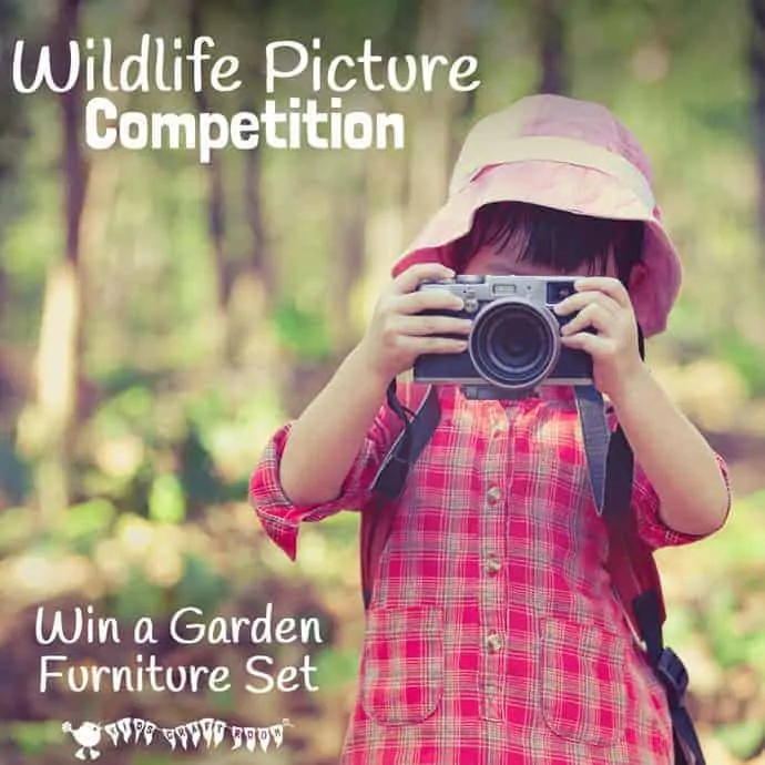 Now the leaves are beginning to fall from the trees and bushes it's a great time of year to get out in the garden with the kids to do a bit of wildlife spotting. Grab your camera and snap your best photo for a chance to win a set of garden furniture in a wildlife photography competition.