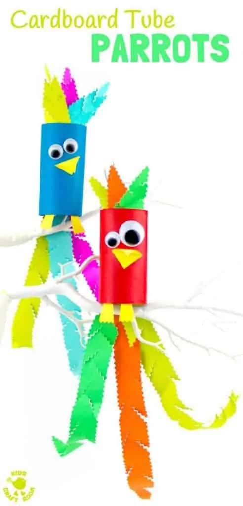 CARDBOARD TUBE PARROT CRAFT - Squawk! What a fun jungle craft for kids.  A colourful tropical bird craft that gives lots of fine motor scissor skills practice.