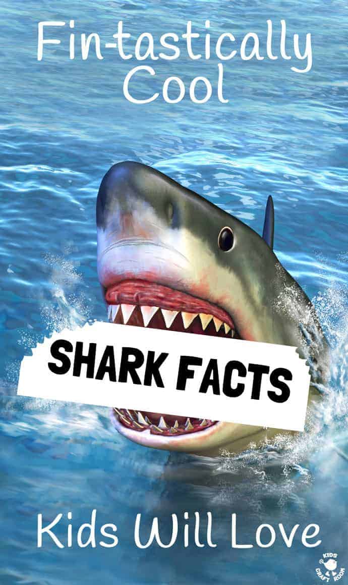 Got a shark fan? Here are some cool shark facts kids will LOVE.  Summer and Shark Week is a fantastic time to get the kids learning and caring about sharks. #sharks #sharkfacts #sharkweek #sharkactivities #kidsactivities #kidscraftroom #oceanactivities