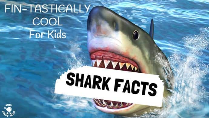 Got a shark fan? Here are some cool shark facts kids will LOVE.  Summer and Shark Week is a fantastic time to get the kids learning and caring about sharks.