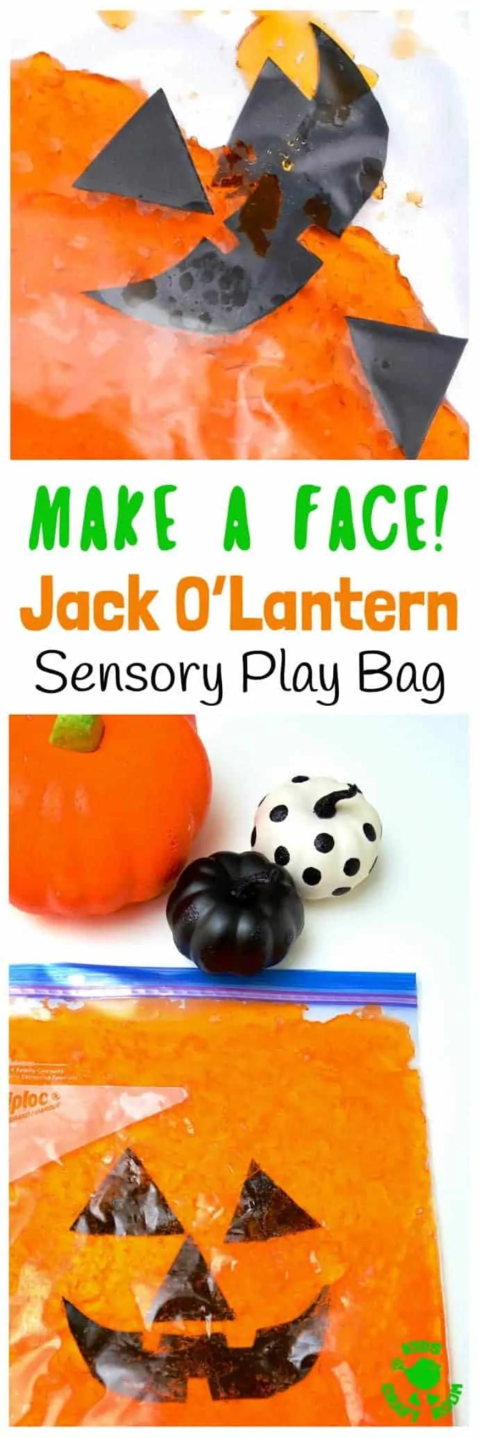 A close up of a Make-A-Face Jack O'Lantern Sensory Play Bag.