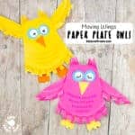 Flying Paper Plate Owl Craft