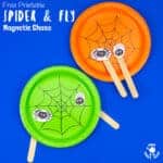 Magnetic Spider and Fly Craft