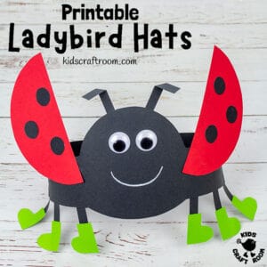 Ladybug Hat Craft pin 2