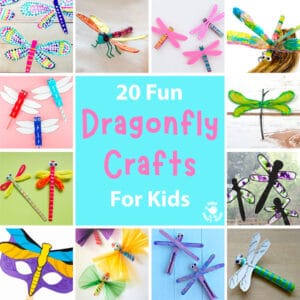 20 Pretty Dragonfly Crafts For Kids