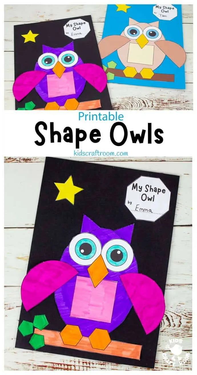 Shape Owl Craft pin 2.