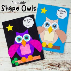 Shape Owl Craft