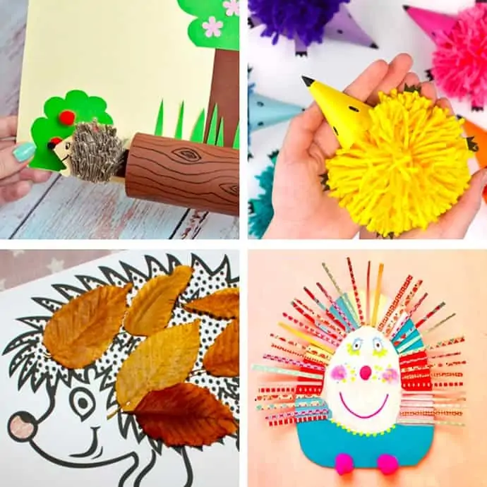 Easy Hedgehog Crafts For Kids 9-12.