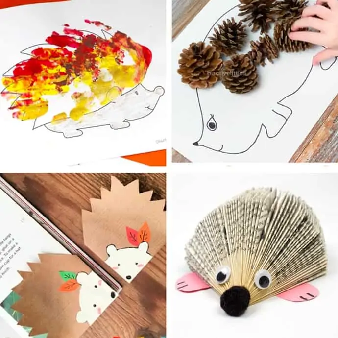 Easy Hedgehog Crafts For Kids 13-16.