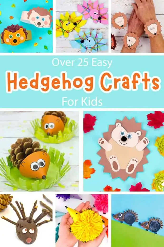 Easy Hedgehog Crafts For Kids pin image 1.