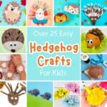 Easy Hedgehog Crafts For Kids