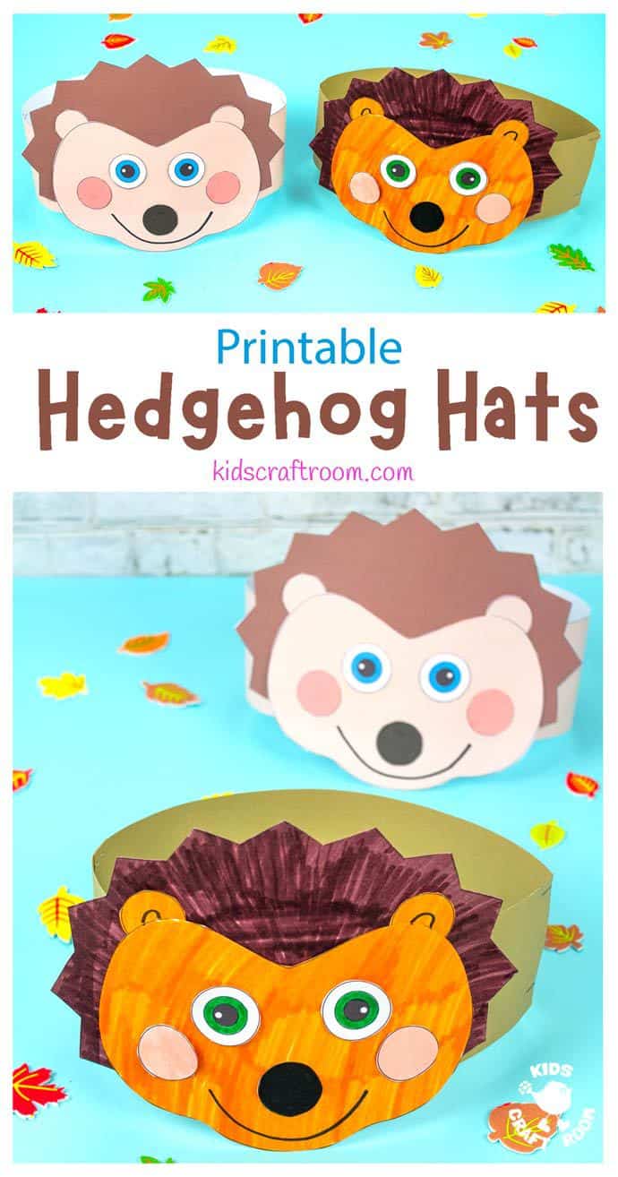 Hedgehog Hat Craft Pin image 1.