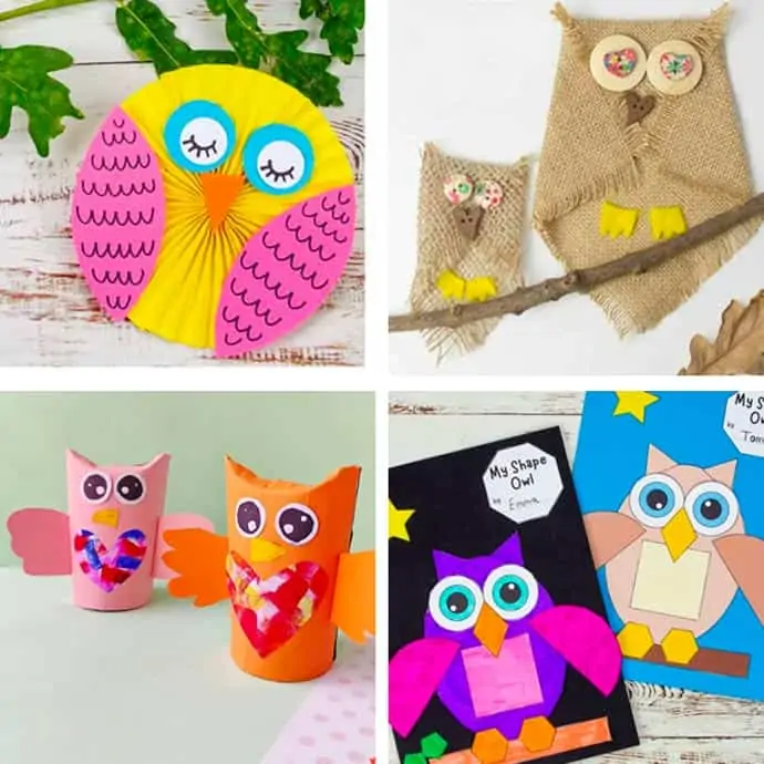 Cute Owl Craft For Kids 5-8.