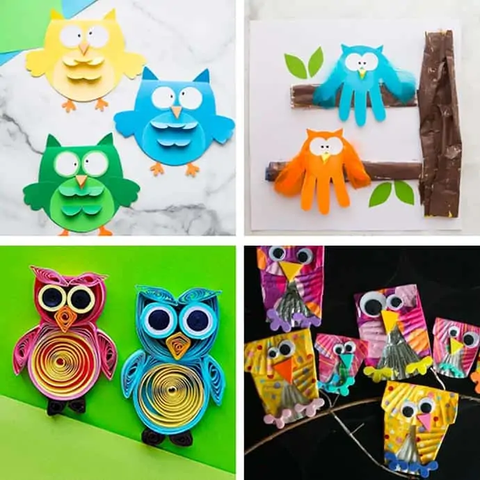 Cute Owl Craft For Kids 9-12.