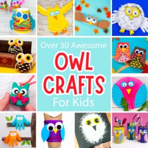 Cute Owl Crafts For Kids