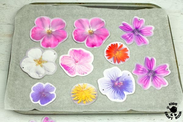 Shrink plastic flowers lying on a baking tray.