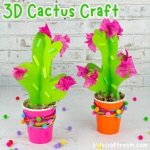 Colourful 3D Cactus Craft