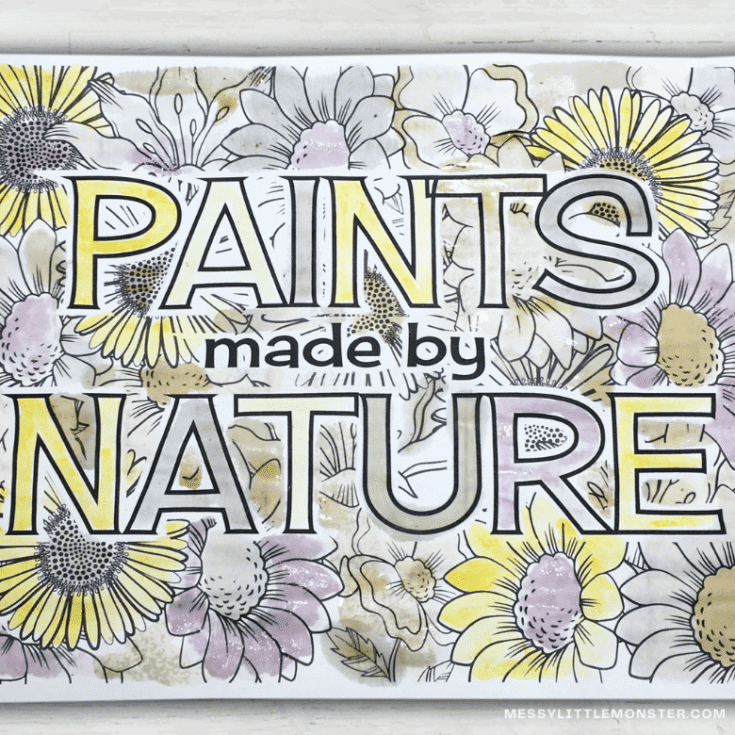Image for Nature Paint - How to make paint from nature
