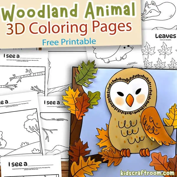 Free Printable 3D Woodland Animal Colouring Pages