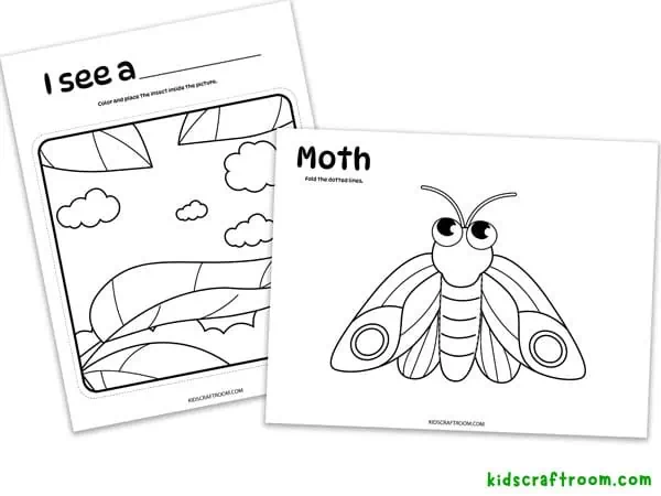 3D Moth Coloring Page.